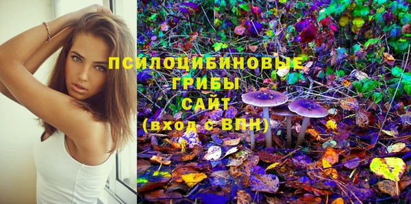 кокаин Белокуриха