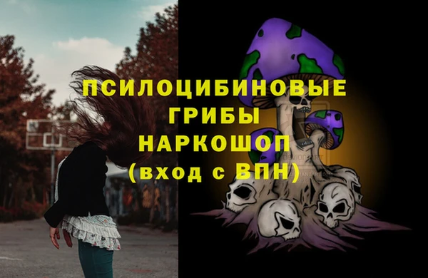 apvp Беломорск